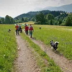 Holiday home Holiday Home In Jenig Carinthia With Pool