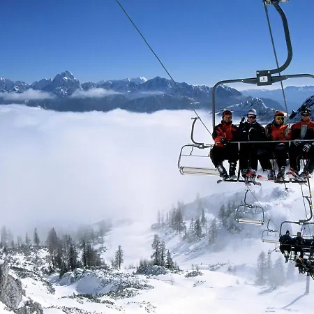 Holiday In Carinthia With Pool