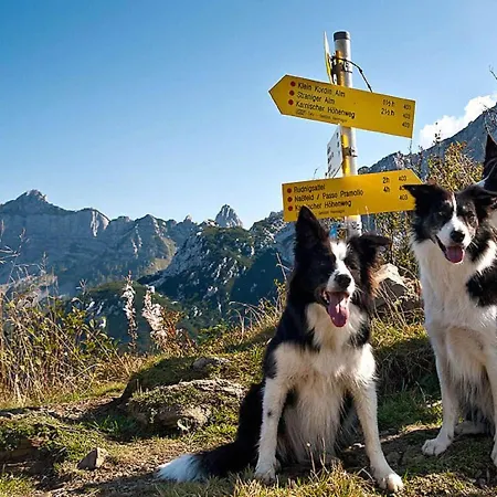 Holiday Home In Jenig Carinthia With Pool Ениг