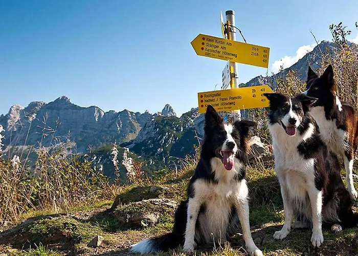 Holiday In Carinthia With Pool Jenig