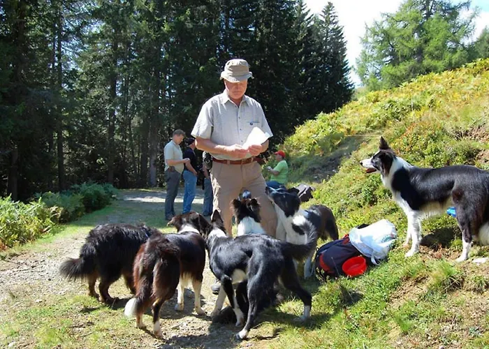 Dom wakacyjny Holiday In Carinthia With Pool